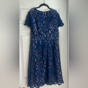 Adrianna Papell Vibrant Blue Attire